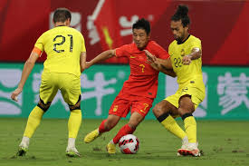 为了中国冰